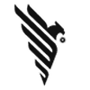 Capital Custom